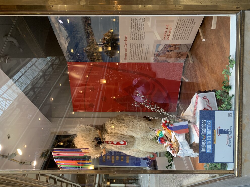 a large furry animal in a store window
